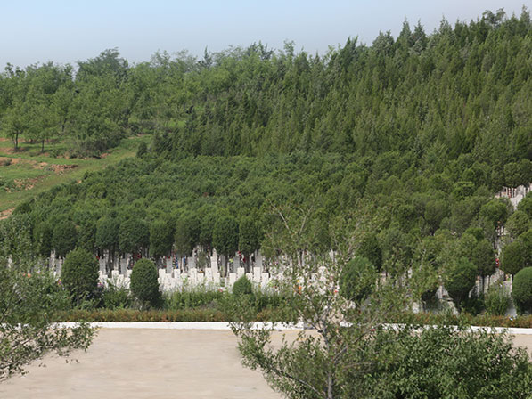 亲灵公墓